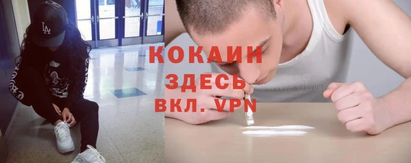 Альфа ПВП Лагань