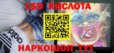 амф Кимры
