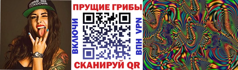 Псилоцибиновые грибы мухоморы Набережные Челны
