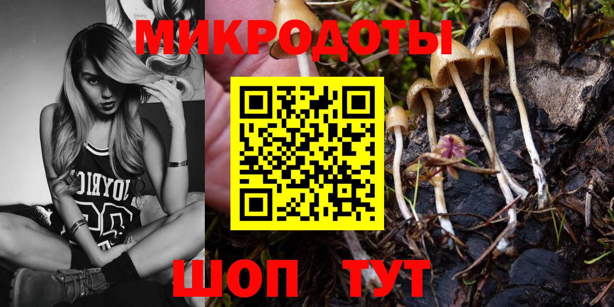 Псилоцибиновые грибы Cubensis Набережные Челны